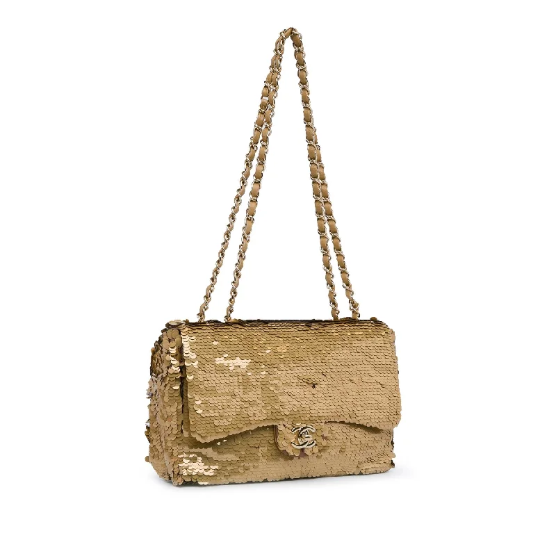 Chanel All - Match Handbag for Versatile StylingChanel Medium Sequins Single Flap (dGE3Qe)